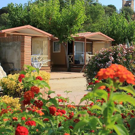 Camping Roca Grossa Calella Ngoại thất bức ảnh