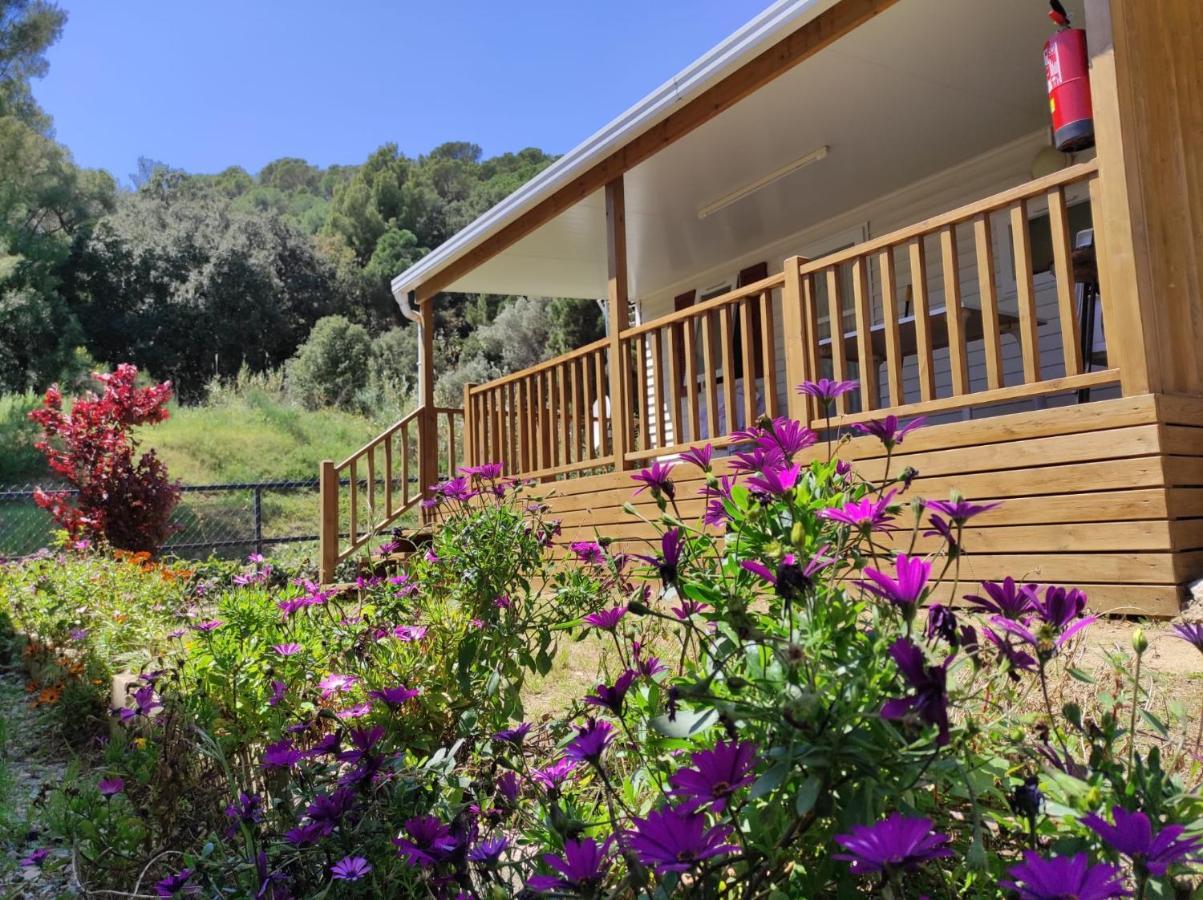 Camping Roca Grossa Calella Ngoại thất bức ảnh
