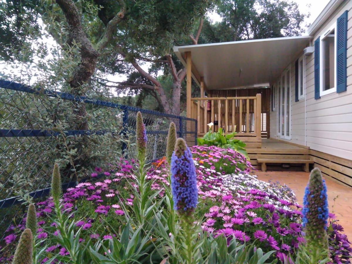 Camping Roca Grossa Calella Ngoại thất bức ảnh
