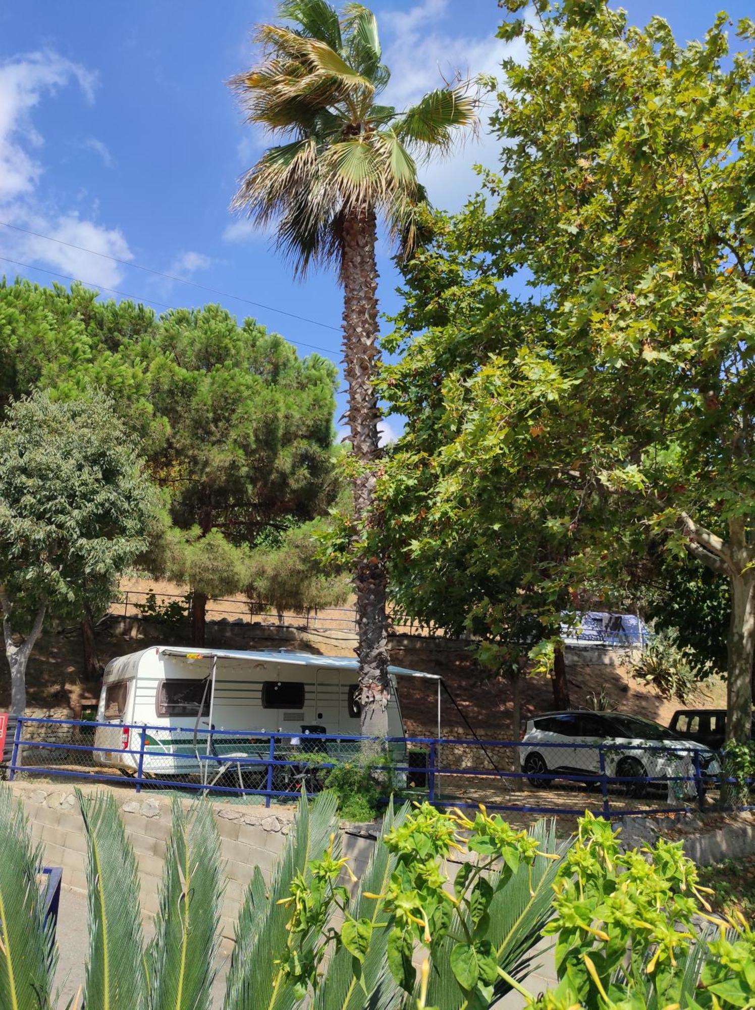 Camping Roca Grossa Calella Ngoại thất bức ảnh