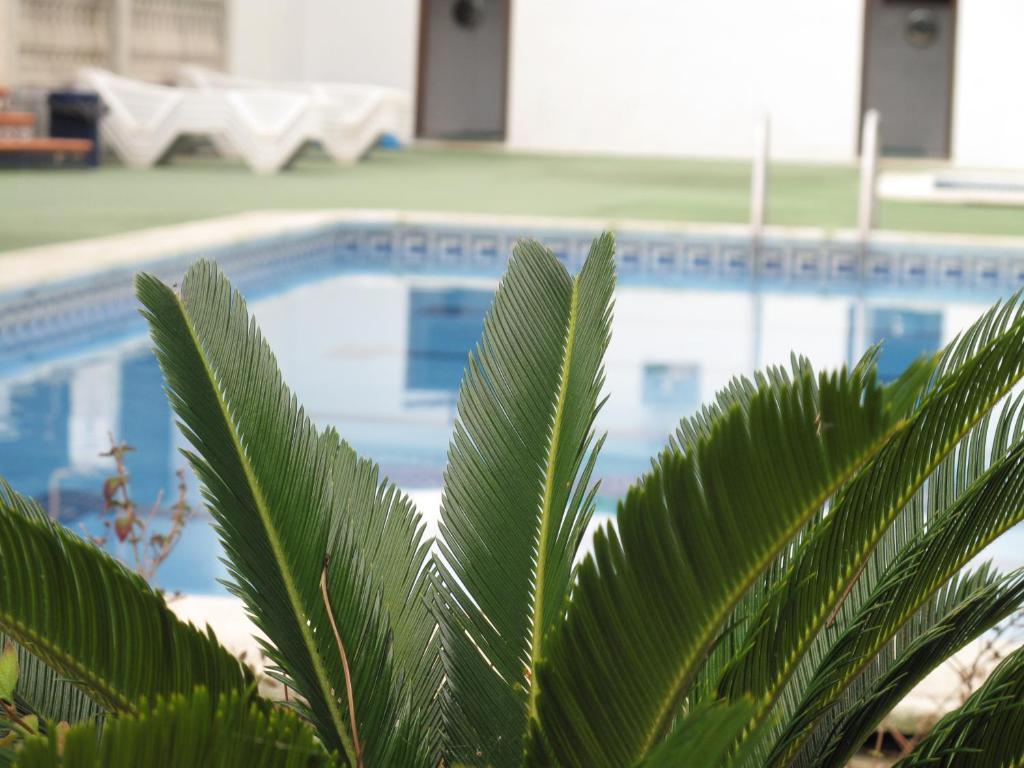 Camping Roca Grossa Calella Ngoại thất bức ảnh