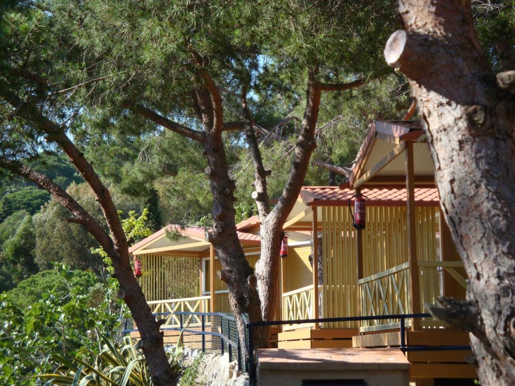 Camping Roca Grossa Calella Ngoại thất bức ảnh