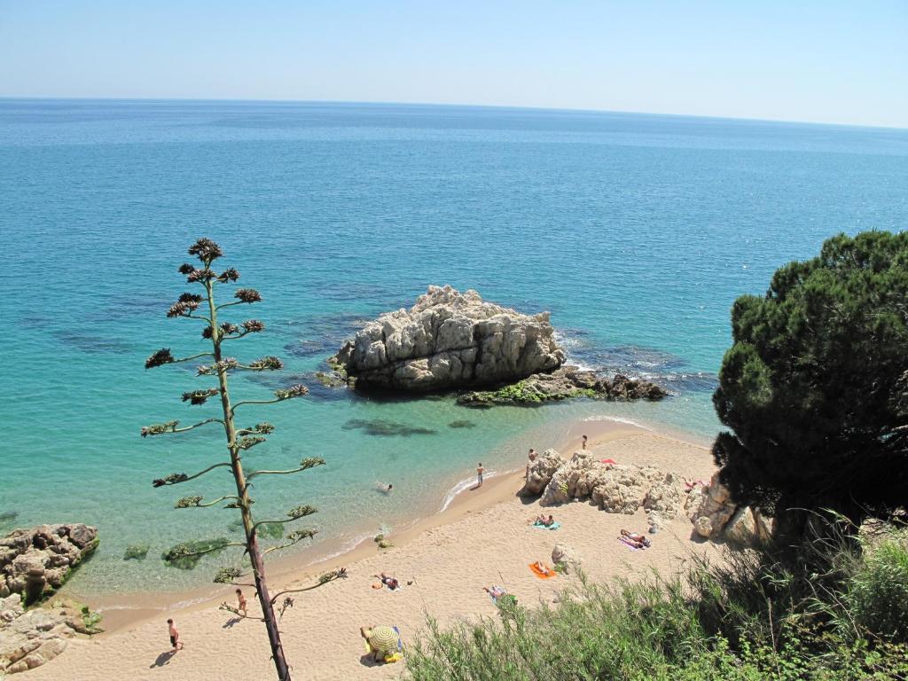 Camping Roca Grossa Calella Ngoại thất bức ảnh